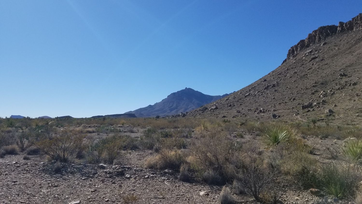 Lone Mountain Hike 